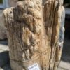 Grafsteen versteend hout 34038