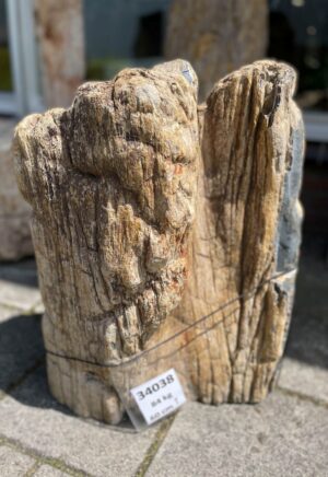 Grafsteen versteend hout 34038