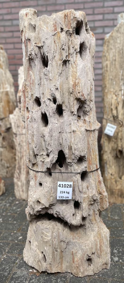 Grafsteen versteend hout 41028