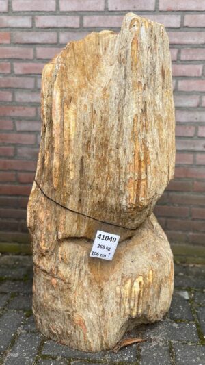 Grafsteen versteend hout 41049