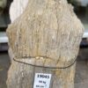Lápida madera petrificada 19045