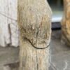 Lápida madera petrificada 19045