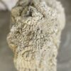 Lápida madera petrificada 19045
