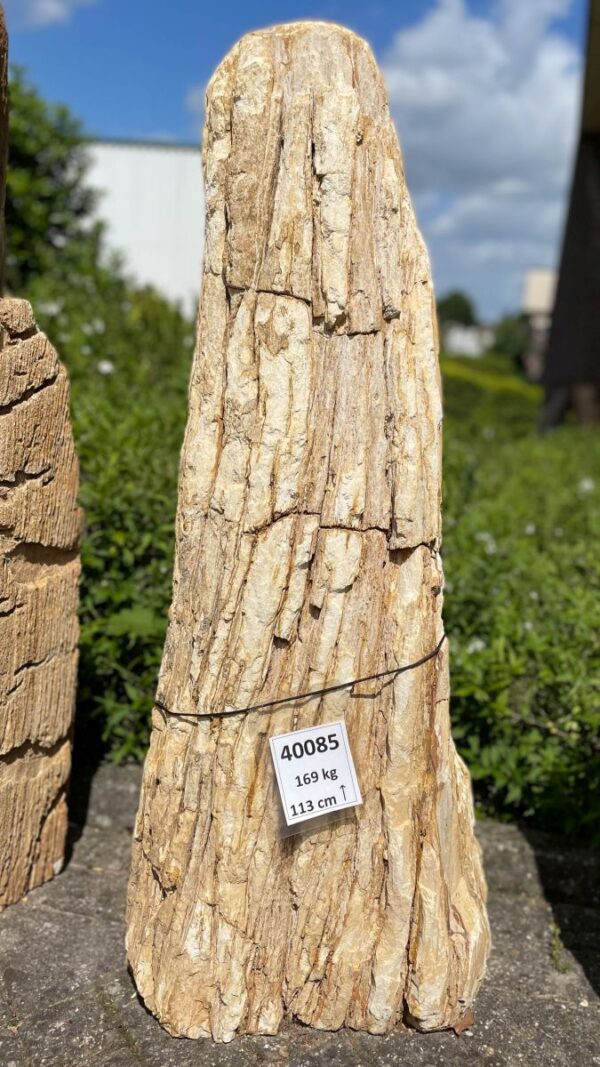 Lápida madera petrificada 40085