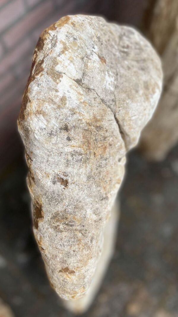 Lápida madera petrificada 41043