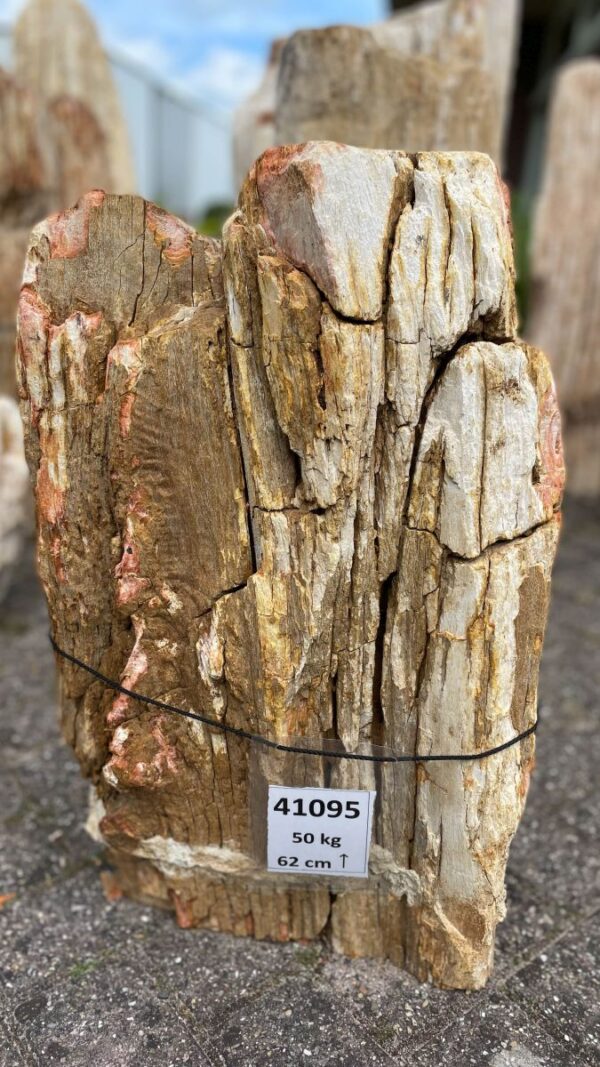 Lápida madera petrificada 41095