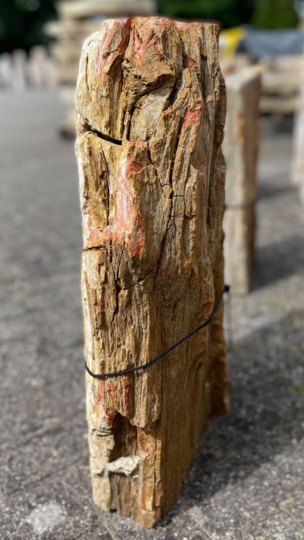 Lápida madera petrificada 41095