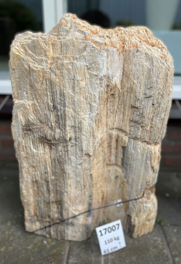 Memorial stone petrified wood 17007
