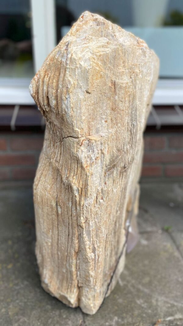 Memorial stone petrified wood 17007
