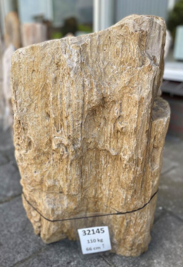 Memorial stone petrified wood 32145
