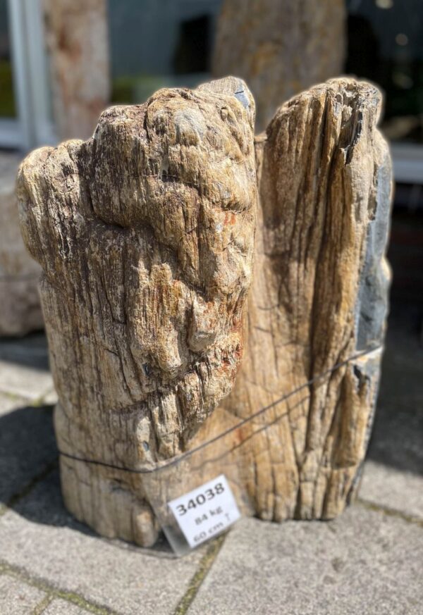Memorial stone petrified wood 34038