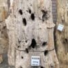 Memorial stone petrified wood 41028