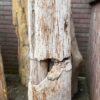 Memorial stone petrified wood 41033