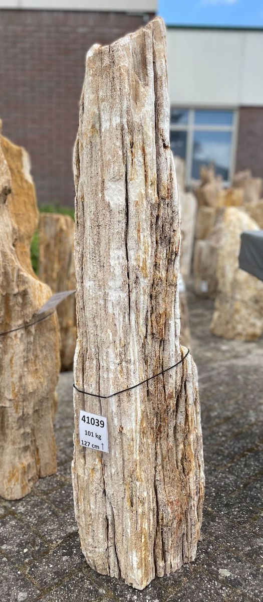 Memorial stone petrified wood 41039