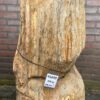Memorial stone petrified wood 41049