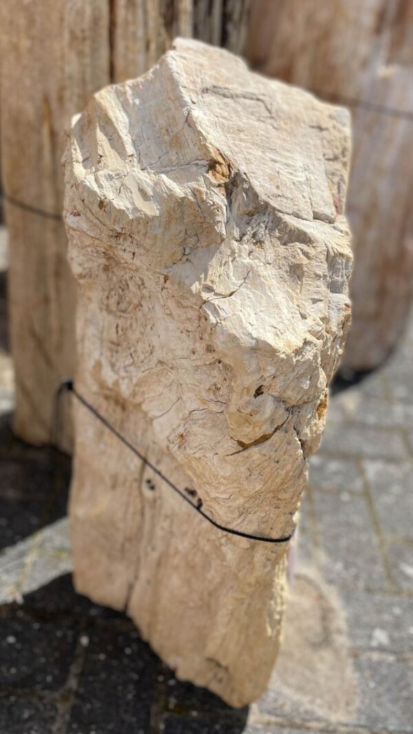 Memorial stone petrified wood 41079