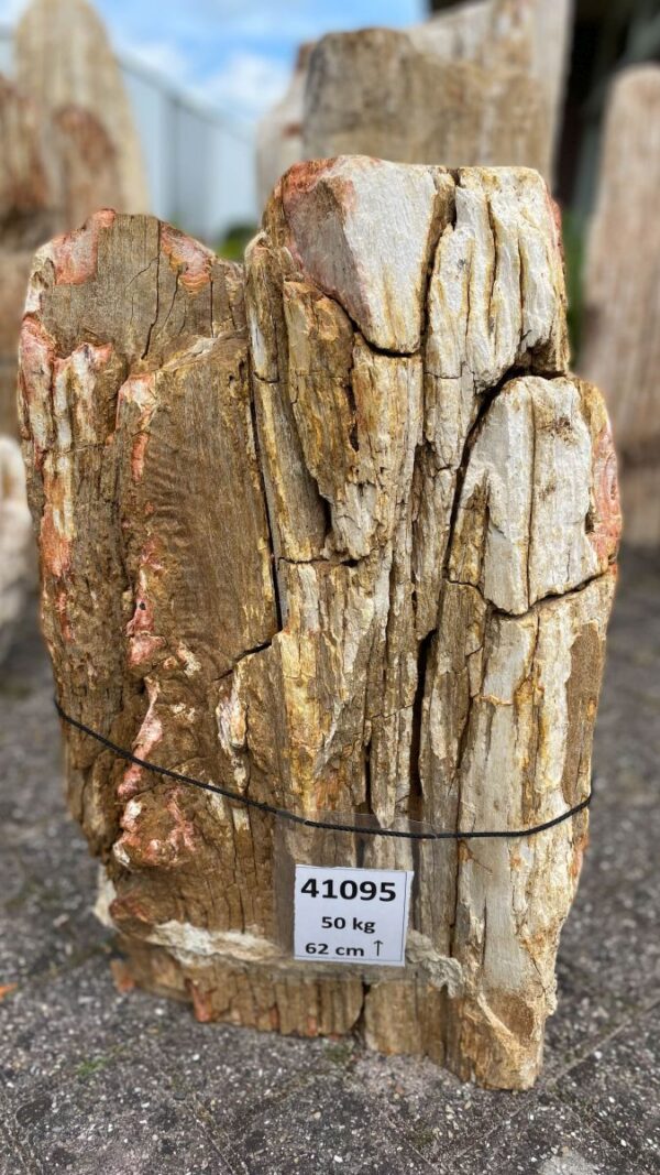 Memorial stone petrified wood 41095