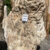 Memorial stone petrified wood 41121