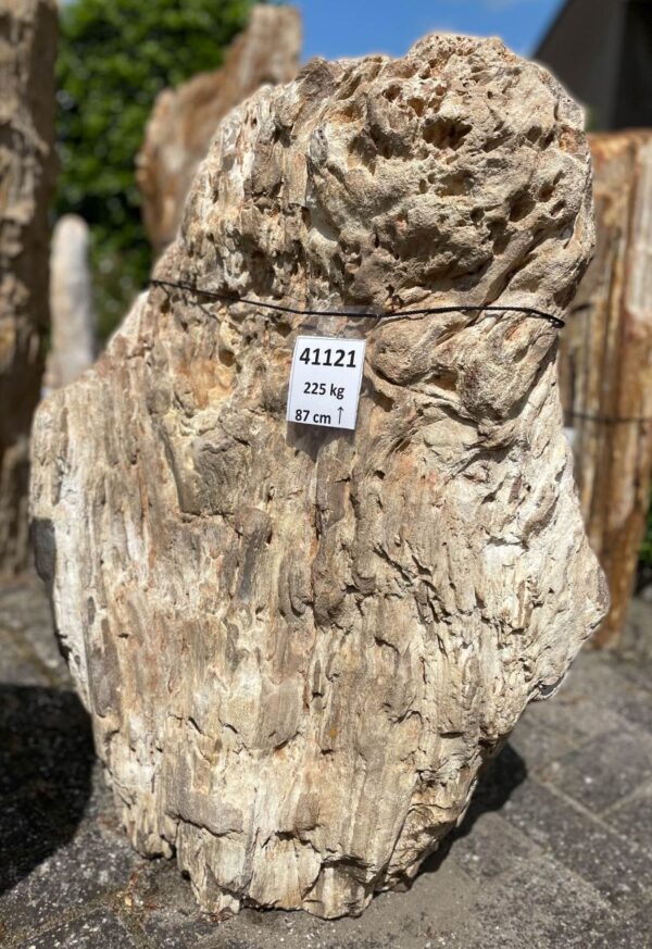 Memorial stone petrified wood 41121