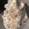 Memorial stone petrified wood 41121