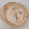 Mesilla madera petrificada 42032