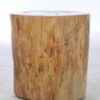 Mesilla madera petrificada 42032