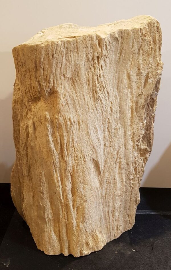 Memorial stone petrified wood 33074