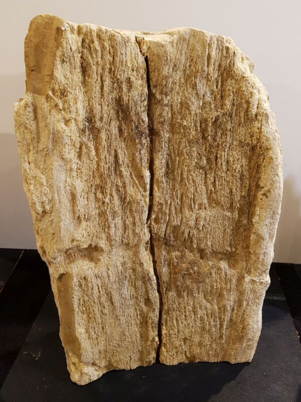 Memorial stone petrified wood 33074