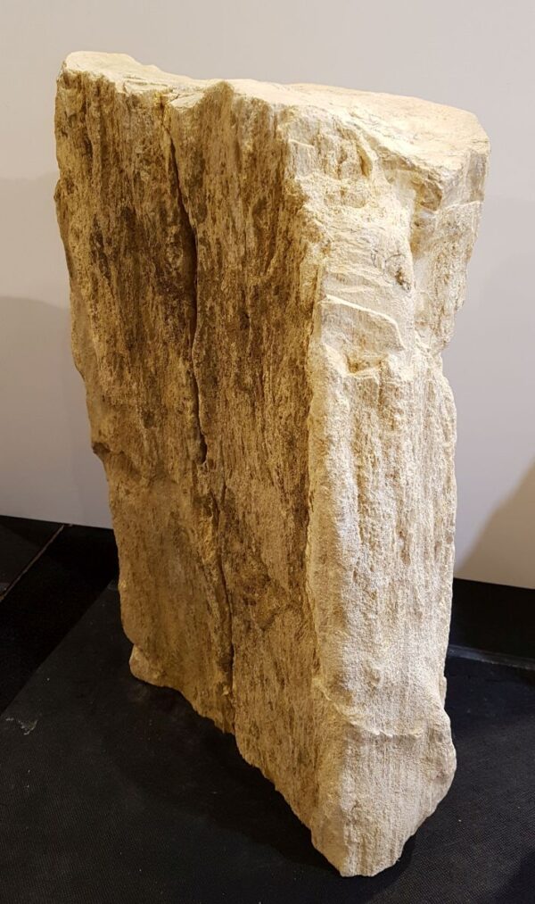 Memorial stone petrified wood 33074