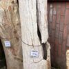 Pierre tombale bois pétrifié 41033