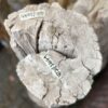 Pierre tombale bois pétrifié 41033