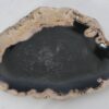 Plate petrified wood 42070g