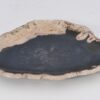 Plate petrified wood 42070g