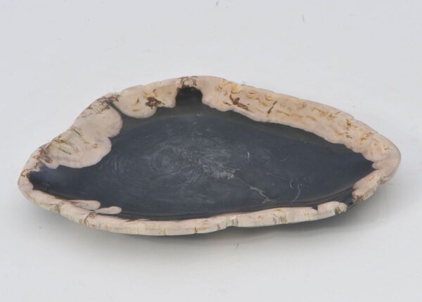 Plate petrified wood 42070h