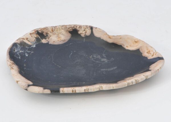 Plate petrified wood 42070o