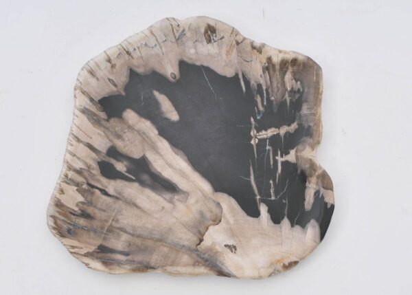 Plate petrified wood 42077c
