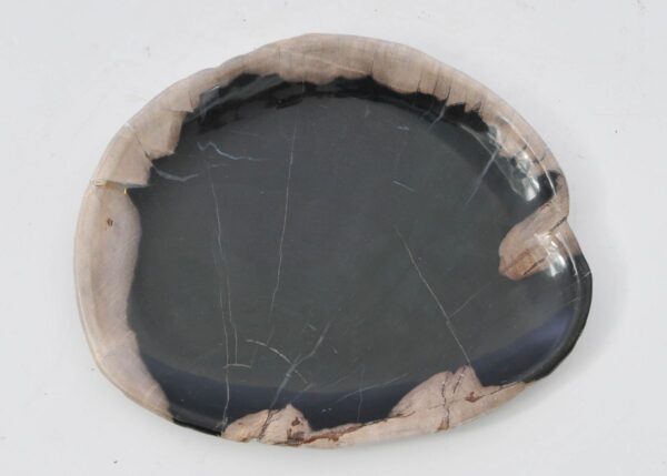 Plate petrified wood 42078a