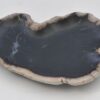 Plate petrified wood 42079a