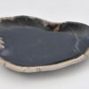 Plate petrified wood 42079l