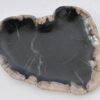 Plate petrified wood 42079m