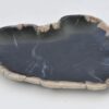 Plate petrified wood 42079m