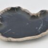 Plate petrified wood 42079n