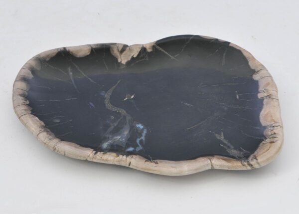 Plate petrified wood 42079o