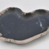 Plato madera petrificada 42079g