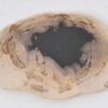 Plato madera petrificada 42084l