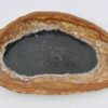 Plato madera petrificada 42086c