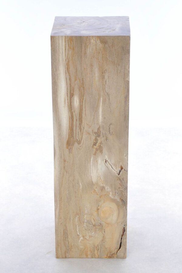 Side table petrified wood 41239