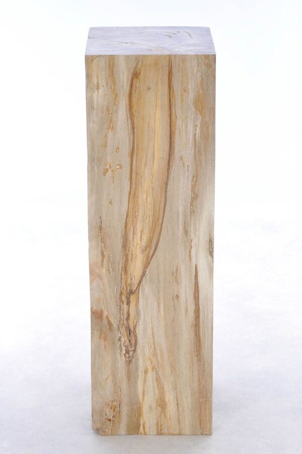 Side table petrified wood 41239
