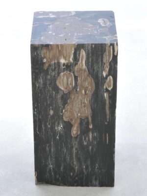 Side table petrified wood 41242