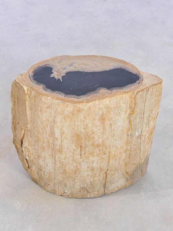 Side table petrified wood 42010